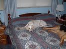 Filename=image0019.jpg
Filesize=80KiB
Dimensions=600x450
Date added=Mar 05, 2005 image0019.jpg