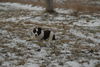 DSC_0020.jpg