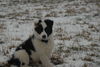 Filename=DSC_0029.jpg
Filesize=86KiB
Dimensions=724x486
Date added=Jan 11, 2009 DSC_0029.jpg