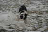 Filename=DSC_0042.jpg
Filesize=89KiB
Dimensions=724x486
Date added=Jan 11, 2009 DSC_0042.jpg