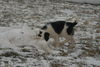 Filename=DSC_0045.jpg
Filesize=97KiB
Dimensions=724x486
Date added=Jan 11, 2009 DSC_0045.jpg