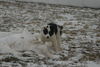 Filename=DSC_0046.jpg
Filesize=94KiB
Dimensions=724x486
Date added=Jan 11, 2009 DSC_0046.jpg