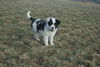 Filename=DSC_0492.jpg
Filesize=122KiB
Dimensions=724x486
Date added=Jan 11, 2009 DSC_0492.jpg