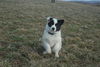 Filename=DSC_0499.jpg
Filesize=105KiB
Dimensions=724x486
Date added=Jan 11, 2009 DSC_0499.jpg