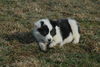 Filename=DSC_0512.jpg
Filesize=114KiB
Dimensions=724x486
Date added=Jan 11, 2009 DSC_0512.jpg