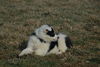Filename=DSC_0518.jpg
Filesize=94KiB
Dimensions=724x486
Date added=Jan 11, 2009 DSC_0518.jpg