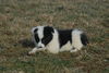 Filename=DSC_0519.jpg
Filesize=104KiB
Dimensions=724x486
Date added=Jan 11, 2009 DSC_0519.jpg
