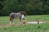 Filename=DSC_0073.jpg
Filesize=156KiB
Dimensions=752x500
Date added=Sep 24, 2005 DSC_0073.jpg