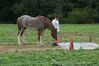 Filename=DSC_0074.jpg
Filesize=160KiB
Dimensions=752x500
Date added=Sep 24, 2005 DSC_0074.jpg
