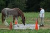 Filename=DSC_0075.jpg
Filesize=156KiB
Dimensions=752x500
Date added=Sep 24, 2005 DSC_0075.jpg