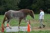 Filename=DSC_0076.jpg
Filesize=152KiB
Dimensions=752x500
Date added=Sep 24, 2005 DSC_0076.jpg