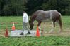 Filename=DSC_0077.jpg
Filesize=156KiB
Dimensions=752x500
Date added=Sep 24, 2005 DSC_0077.jpg