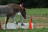 Filename=DSC_0078.jpg
Filesize=145KiB
Dimensions=752x500
Date added=Sep 24, 2005 DSC_0078.jpg