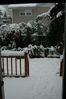 Filename=image0001.jpg
Filesize=79KiB
Dimensions=500x752
Date added=Oct 31, 2005 image0001.jpg