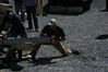 Filename=DSC_0028.jpg
Filesize=122KiB
Dimensions=752x500
Date added=Apr 13, 2007 DSC_0028.jpg