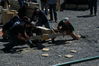 Filename=DSC_0031.jpg
Filesize=126KiB
Dimensions=752x500
Date added=Apr 13, 2007 DSC_0031.jpg