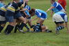 Filename=DSC_0164.jpg
Filesize=109KiB
Dimensions=724x486
Date added=Apr 13, 2007 DSC_0164.jpg