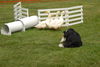 Filename=DSC_0050.jpg
Filesize=103KiB
Dimensions=724x486
Date added=Jun 16, 2007 DSC_0050.jpg