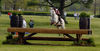 Filename=DSC_0041.JPG
Filesize=124KiB
Dimensions=700x358
Date added=May 10, 2006 DSC_0041.JPG