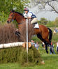 Filename=DSC_0053.JPG
Filesize=212KiB
Dimensions=584x700
Date added=May 10, 2006 DSC_0053.JPG