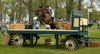 Filename=DSC_0060.JPG
Filesize=156KiB
Dimensions=700x378
Date added=May 10, 2006 DSC_0060.JPG