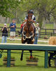 Filename=DSC_0086.JPG
Filesize=165KiB
Dimensions=560x700
Date added=May 10, 2006 DSC_0086.JPG