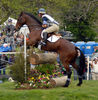Filename=DSC_0088.JPG
Filesize=234KiB
Dimensions=688x700
Date added=May 10, 2006 DSC_0088.JPG