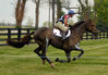 Filename=DSC_0176.JPG
Filesize=151KiB
Dimensions=700x488
Date added=May 10, 2006 DSC_0176.JPG