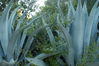 Filename=image0001.jpg
Filesize=155KiB
Dimensions=752x500
Date added=Nov 07, 2005 image0001.jpg