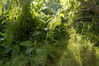 Filename=image0002.jpg
Filesize=187KiB
Dimensions=752x500
Date added=Nov 07, 2005 image0002.jpg