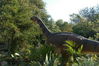 Filename=image0007.jpg
Filesize=182KiB
Dimensions=752x500
Date added=Nov 07, 2005 image0007.jpg