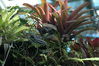 Filename=image0009.jpg
Filesize=149KiB
Dimensions=752x500
Date added=Nov 07, 2005 image0009.jpg