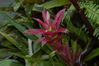 Filename=image0010.jpg
Filesize=90KiB
Dimensions=752x500
Date added=Nov 07, 2005 image0010.jpg