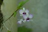 Filename=image0011.jpg
Filesize=45KiB
Dimensions=752x500
Date added=Nov 07, 2005 image0011.jpg