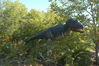 Filename=image0018.jpg
Filesize=184KiB
Dimensions=752x500
Date added=Nov 07, 2005 image0018.jpg