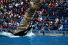 Filename=image0063.jpg
Filesize=175KiB
Dimensions=752x500
Date added=Nov 07, 2005 image0063.jpg
