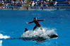 Filename=image0066.jpg
Filesize=138KiB
Dimensions=752x500
Date added=Nov 07, 2005 image0066.jpg