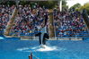 Filename=image0070.jpg
Filesize=194KiB
Dimensions=752x500
Date added=Nov 07, 2005 image0070.jpg
