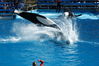 Filename=image0079.jpg
Filesize=157KiB
Dimensions=752x500
Date added=Nov 07, 2005 image0079.jpg