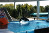 Filename=image0081.jpg
Filesize=156KiB
Dimensions=752x500
Date added=Nov 07, 2005 image0081.jpg