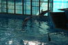 Filename=image0094.jpg
Filesize=143KiB
Dimensions=752x500
Date added=Nov 07, 2005 image0094.jpg