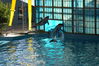 Filename=image0098.jpg
Filesize=171KiB
Dimensions=752x500
Date added=Nov 07, 2005 image0098.jpg