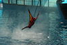 Filename=image0100.jpg
Filesize=100KiB
Dimensions=752x500
Date added=Nov 07, 2005 image0100.jpg