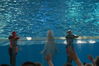 Filename=image0102.jpg
Filesize=127KiB
Dimensions=752x500
Date added=Nov 07, 2005 image0102.jpg