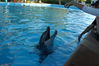 Filename=image0108.jpg
Filesize=134KiB
Dimensions=752x500
Date added=Nov 07, 2005 image0108.jpg