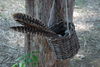 Filename=DSC_0002.JPG
Filesize=155KiB
Dimensions=1024x687
Date added=May 28, 2006 DSC_0002.JPG