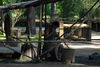 Filename=DSC_0009.JPG
Filesize=158KiB
Dimensions=1024x687
Date added=May 28, 2006 DSC_0009.JPG