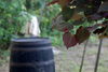 Filename=DSC_0015.JPG
Filesize=85KiB
Dimensions=1024x687
Date added=May 28, 2006 DSC_0015.JPG