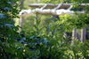 Filename=DSC_0016.JPG
Filesize=131KiB
Dimensions=1024x687
Date added=May 28, 2006 DSC_0016.JPG