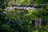 Filename=DSC_0017.JPG
Filesize=136KiB
Dimensions=1024x687
Date added=May 28, 2006 DSC_0017.JPG